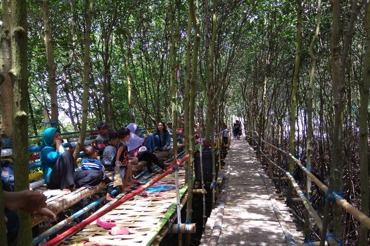 Pengunjung bersantai di tempat duduk yang dibuat di tengah hutan mangrove