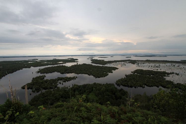 Panorama Taman Nasional Danau Sentarum dari puncak Bukit Tekenang