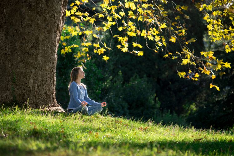 Ilustrasi meditasi di bawah pohon
