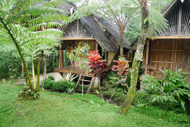 Homestay Di Sekitar Bukit Ngingis Mulai Rp 150000 Per Kamar