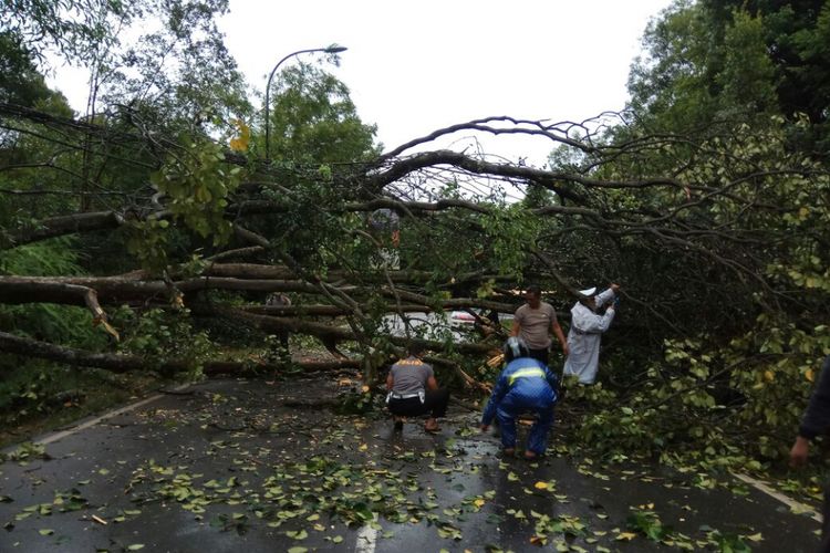 Sejumlah anggota lantas Polresta Barelang dan tim DKP Batam membersihkan pohon tumbang hingga menutupi badan jalan. Dari kejadian ini antrean kendaraan mencapai dua kilometer.