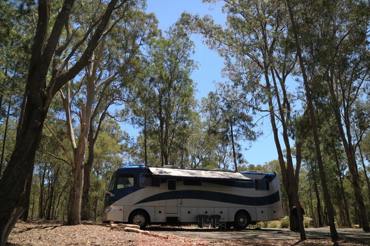 Bus untuk berkemah di Paradise Country, Gold Coast, Australia.