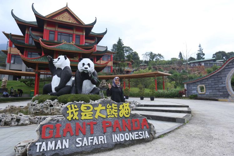 Seorang pengunjung berpose di dekat patung replika dua panda raksasa asal China di Istana Panda Indonesia, Taman Safari Indonesia, Cisarua, Bogor, Jawa Barat, Rabu (1/11/2017). Sepasang panda, Cai Tao (jantan) dan Hu Chun (betina) yang berasal dari pengembangbiakan di China Wildlife Conservation Association (CWCA) akan diperkenalkan untuk publik pada November 2017 ini