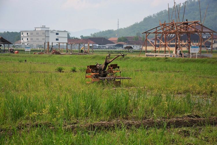 Lahan pertanian produktif yang akan dialihkan sebagai lahan terbangun di kawasan strategis Kabupaten Trenggalek, Jawa Timur