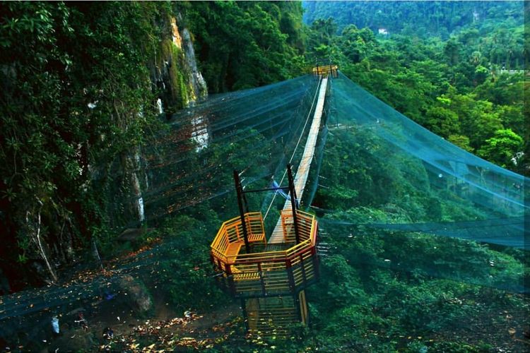 Keindahan Helena Sky Bridge, Bantimurung, Sulawesi Selatan, di atas habitat kupu-kupu.