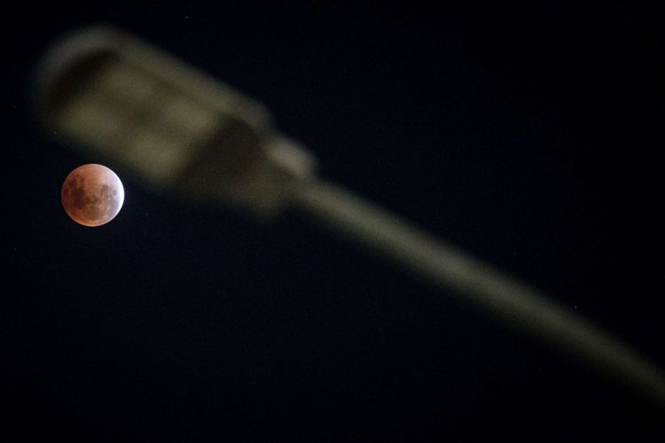 Gerhana bulan terlihat di Taman Izmail Marzuki, Jakarta, Rabu (31/1/2017). Lembaga Penerbangan dan Antariksa Nasional (LAPAN) menjelaskan bahwa proses gerhana bulan pada 31 Januari 2018 dapat disaksikan mulai pukul 18:48 WIB dan berakhir pada 22:11 WIB dan fenomena ini terakhir kali terjadi di Indonesia pada tahun 1982 dan baru akan terjadi lagi di tahun 2037.