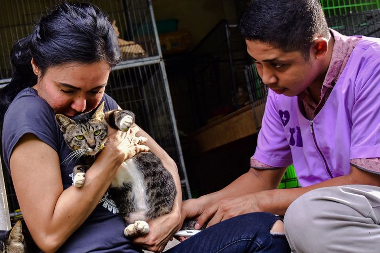 Violetta memeluk kucingnya yang menjalani pemeriksaan kesehatan oleh dokter hewan di Kota Pekanbaru, Riau, Sabtu (27/1/2018). Violetta Hasan Noor, secara individu melakukan gerakan menyelamatkan sekaligus mengurusi kucing-kucing telantar, termasuk mendirikan Violettas Rescue (VR) yang difungsikan sebagai tempat penampungan bagi kucing-kucing tersebut.