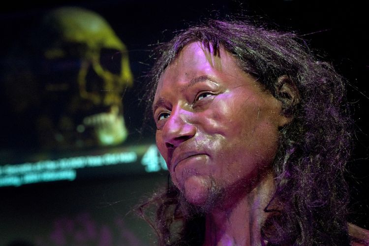 Hasil rekonstruksi Cheddar Man oleh Natural History Museum and University. / AFP PHOTO / Justin TALLIS