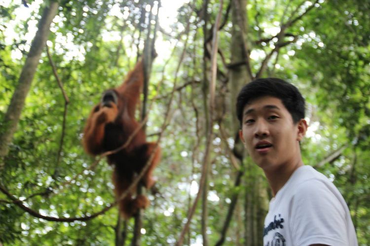Ashley, anak laki-laki dari Eje Kim seorang Profesor Korea yang amat mencintai durian Indonesia, ia sedang memperhatikan orang utan melahap durian, di Hutan Tangkahan, Kalimantan Tengah (2016).
