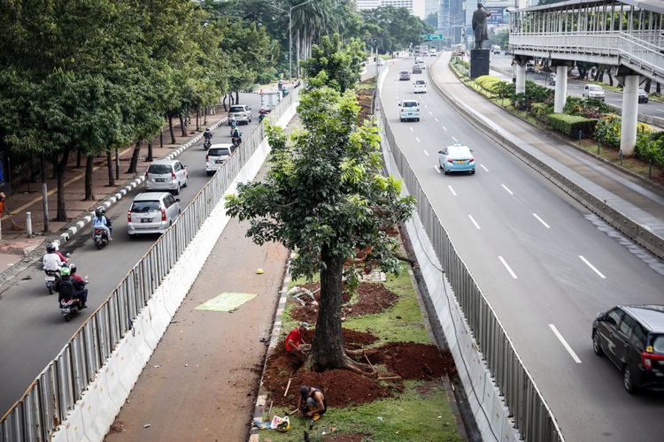 Kendaraan melintas di samping pohon-pohon yang telah ditebang di Jalan Sudirman, Jakarta, Sabtu (10/3/2018). Sebanyak 541 pohon di sepanjang jalan thamrin-sudirman ditebang imbas penataan trotoar yang akan dimulai oleh pemprov DKI Jakarta.