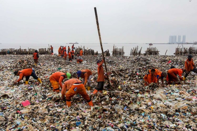 Petugas Suku Dinas Lingkungan Hidup membersihkan sampah plastik yang menumpuk di Kawasan Hutan Bakau Muara Angke, Jakarta, Sabtu (17/3/2018). Sampah yang memenuhi perairan seluas 7.500 meter persegi tersebut terkumpul akibat gulungan ombak yang membawa sampah ke bibir pantai.