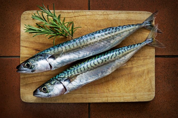 Tips dari Chef Cara Bedakan Ikan  Makarel dengan Sarden 