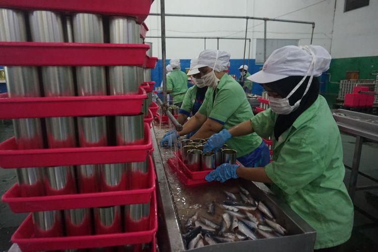 Buruh di pabrik pengalengan ikan CV Pasific Harvest sedang mengolah ikan sarden