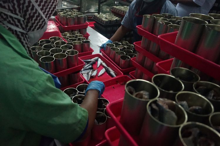 Pegawai CV Pasific Harvest sedang mengolah ikan makarel