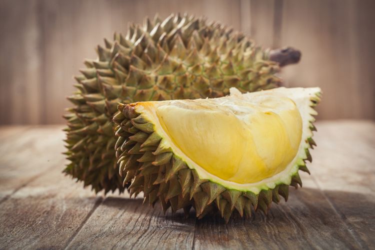 Ilustrasi durian