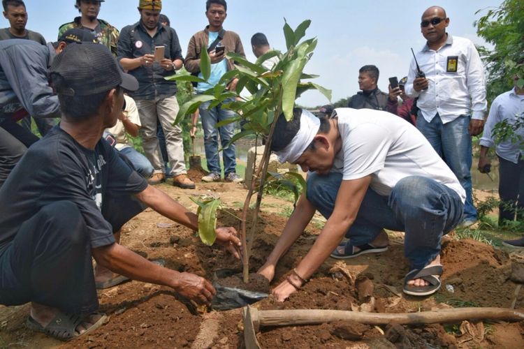 Calon Wakil Gubernur Jabar Dedi Mulyadi saat menanam pohon di bantara Sungai Citarum di Kabupaten Bandung, Jawa Barat, Kamis (3/5/2018).