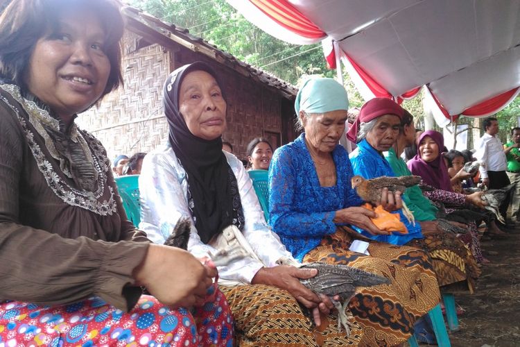 Kementerian Pertanian memberikan bantuan 50 ekor ayam untuk setiap rumah tangga miskin di Kabupaten Bondowoso, Jawa Timur, Selasa (22/5/2018). Bantuan itu terkait program Bedah Kemiskinan, Rakyat Sejahtera untuk mengurangi angka kemiskinan.