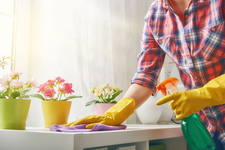 Beautiful young woman makes cleaning the house. Girl rubs dust.