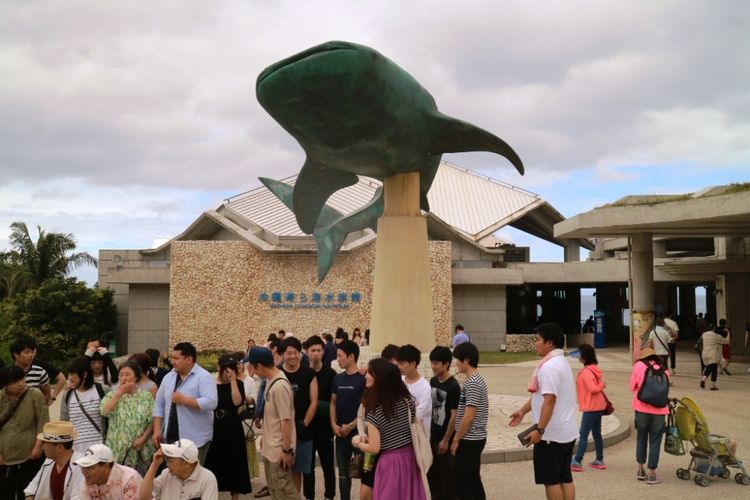 Wisatwan berfoto di ikon Whale Shark Akuarium Churami Okinawa, akuarium terbesar di Jepang, berada di Kota Kunigami, Okinawa, Sabtu (30/6/2018)