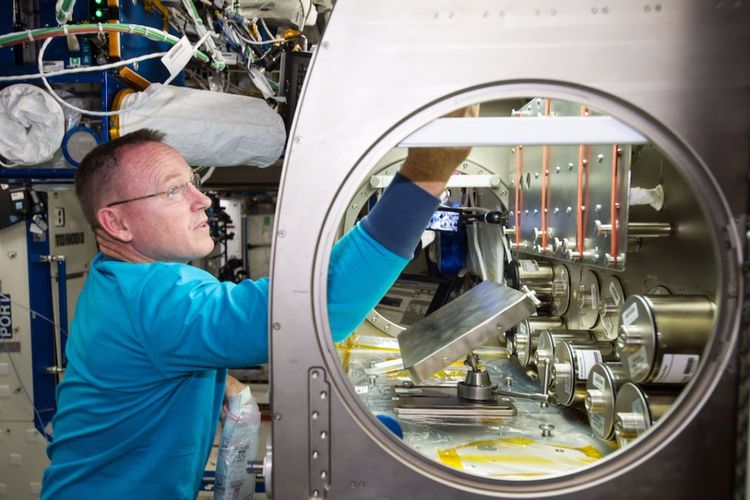 Astronot NASA Barry Wilmore, sedang mempersiapkan ruangan yang akan ditinggali 20 tikus di stasiun luar angkasa Internasional (ISS)