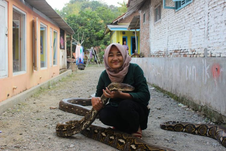 Faizah (17), seorang warga, berfoto bersama ular piton milik Munding Aji (30), seorang pemuda dari RT 2 RW 1 Desa Gunungsari, Kecamatan Pejagoan, Kebumen, Jawa Tengah, yang mengoleksi 10 ular piton besar. Dua di antaranya bernama Syahrini dan Rambo.