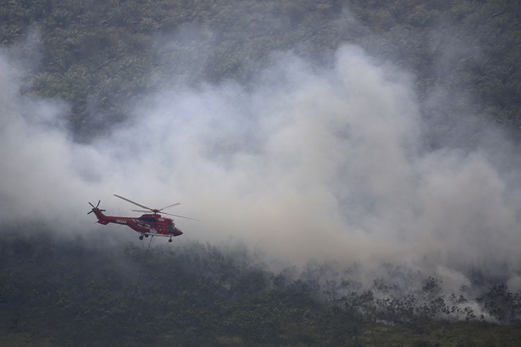 Proses pemadaman kebakaran lahan di Kabupaten Ogan Komering Ilir (OKI), Sumatera Selatan.