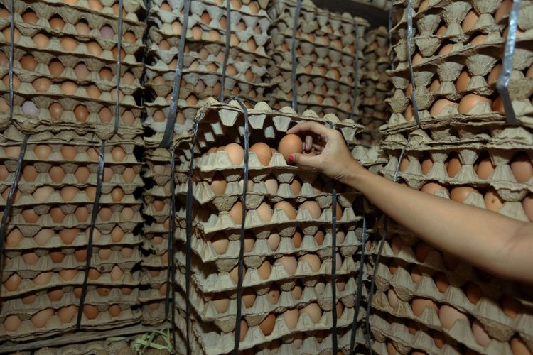 Seorang pedagang telur saat berjualan di Serpong, Tangerang Selatan, Banten, Kamis  (19/7/2018). Akibat tingginya permintaan, harga jual telur ayam ras mencapai hingga Rp 29.000 per kilogram atau untuk harga eceran tembus Rp 2.500 per butir.