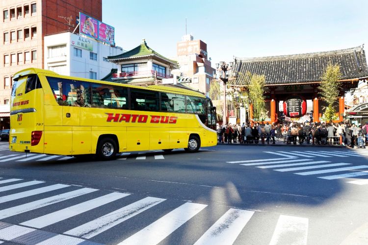 Hato Bus
