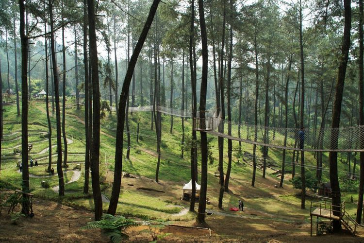 Wisata Hutan Anggrek Di Lembang Bandung Mau