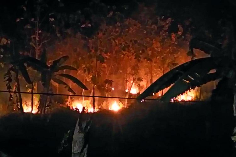 Kebakaran melanda kawasan hutan jati Kecamatan Geyer, Kabupaten Grobogan, Jawa Tengah tepatnya di petak 56, RPH Getas,  BKPH Monggot, KPH Gundih, Minggu (12/8/2018) malam sekitar pukul 19.30 WIB.