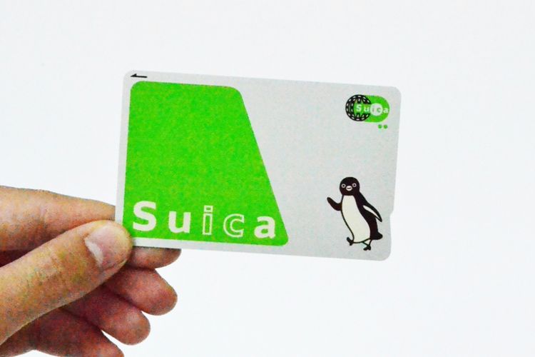 Suica adalah kartu transportasi IC dari JR East. 