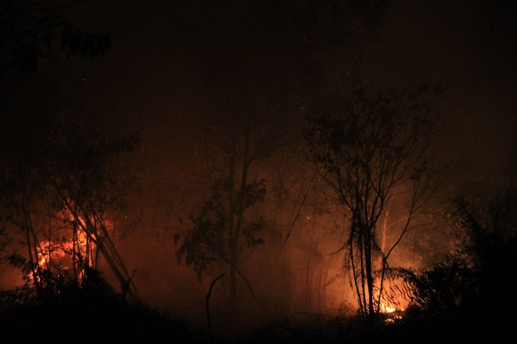 Kobaran api yang membakar lahan gambut yang berdekatan dengan pemukiman penduduk di Jalan Purnama II, Pontianak, Kalimantan Barat, Senin (20/8/2018) malam. 