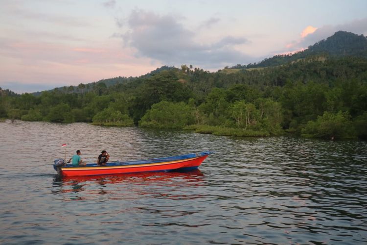 Indahnya barisan mangrove di ekowisata Mangrove Park Bahowo di Manado, Sulawesi Utara yang dikelola oleh Kelompok Mangrove Tongkena, Manado, Sulawesi Utara, Rabu (29/8/2018). 