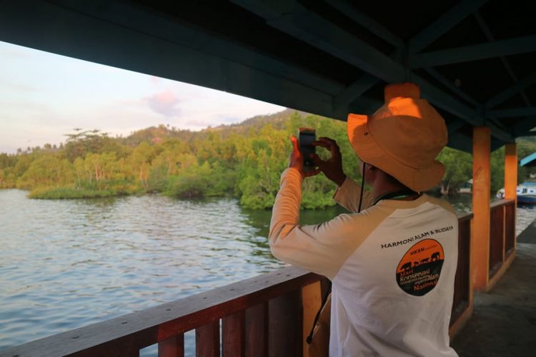 Indahnya barisan mangrove di ekowisata Mangrove Park Bahowo di Manado, Sulawesi Utara yang dikelola oleh Kelompok Mangrove Tongkena, Manado, Sulawesi Utara, Rabu (29/8/2018). 