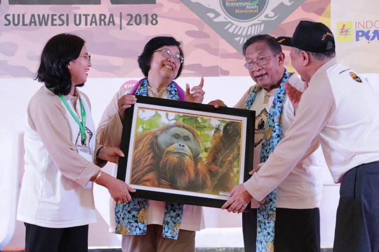 Peresmian Palaeo Tapanuliensis, merupakan jenis orangutan yang baru ditemukan, saat diresmikan oleh Meneteri LHK di acara peringatan Hari Konservasi Alam Nasional, Taman Wisata Alam Batu Putih, Bitung, Sulawesi Utara, Kamis (30/8/2018).(KOMPAS.COM/MUHAMMAD IRZAL ADIAKURNIA ) Artikel ini telah tayang di Kompas.com dengan judul 