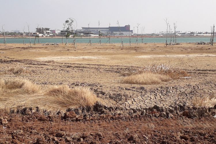Condition of reservoir rorotan, Cakung, East Jakarta, Friday (31-08-2018)