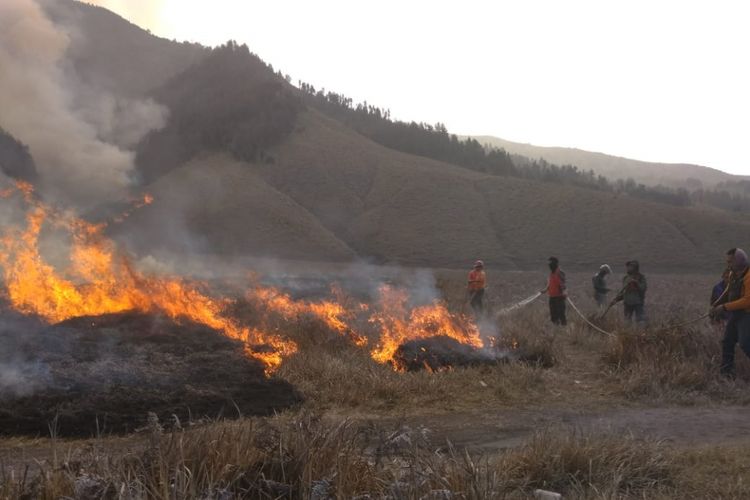 Petugas berusaha memadamkan api di padang rumput atau sabana Gunung Bromo, Jawa Timur, Minggu (2/9/2018).