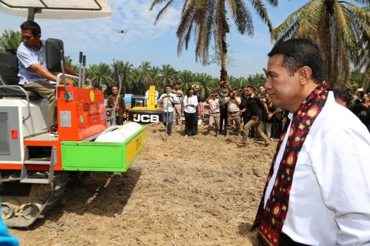 Kementerian Pertanian melakukan peremajaan kelapa sawit di Desa Ujung Tanjung, Kecamatan Sungai Bahar, Kabupaten Muaro Jambi, Provinsi Jambi pada Senin (10/9/2018). 