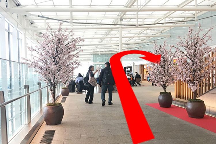 Tips Menghabiskan Waktu di Terminal Internasional Bandara Haneda (versi Keikyu)