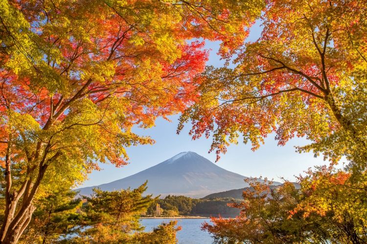 ILUSTRASI - Musim gugur di Jepang