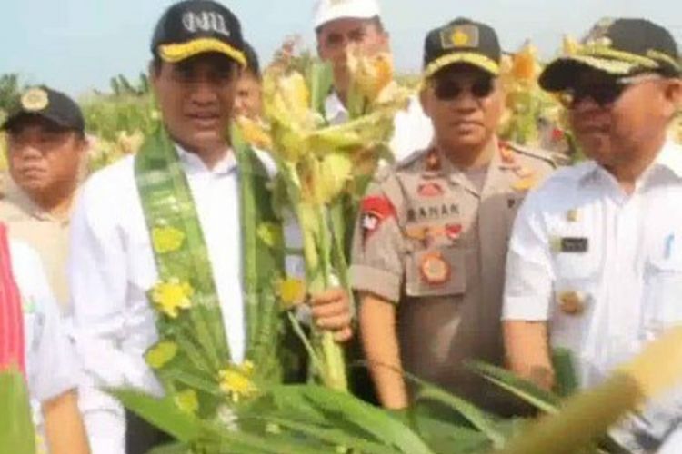 Ratusna petani di Pasangkayu sulawesi barat mengadukan praktek kartel harga sawit atau praktek mapia harga sait yang merugikan petani kepada menteri pertnian, Andi Amran Sulaiman.