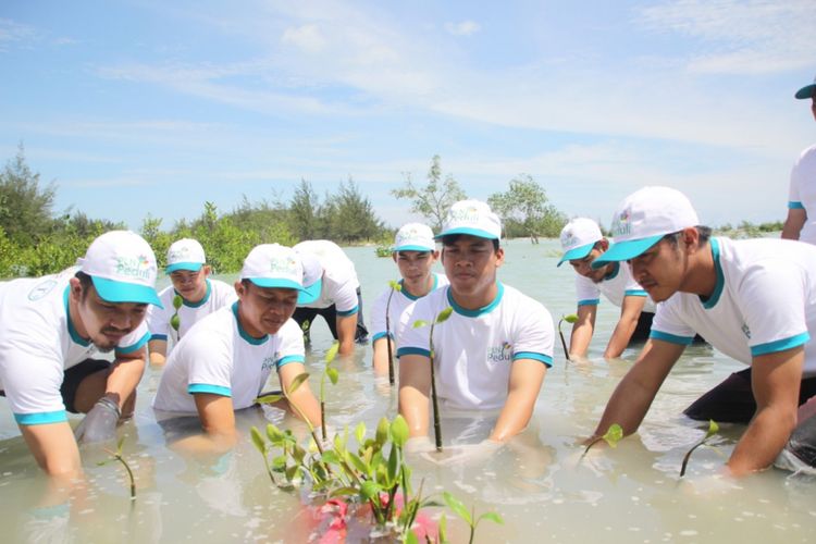 Aksi penanaman pohon di Pantai Rebo Bangka sebagai salah satu upaya meredam pemanasan global.