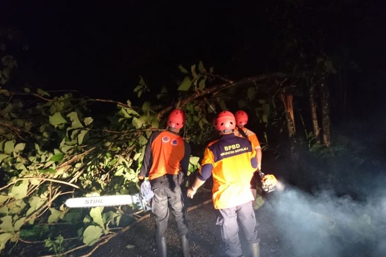 Petugas BPBD Boyolali membersihkan pohon tumbang yang melintang di jalan Desa Bendo, Kecamatan Boyolali, Jawa Tengah, Jumat (7/12/2018) malam.