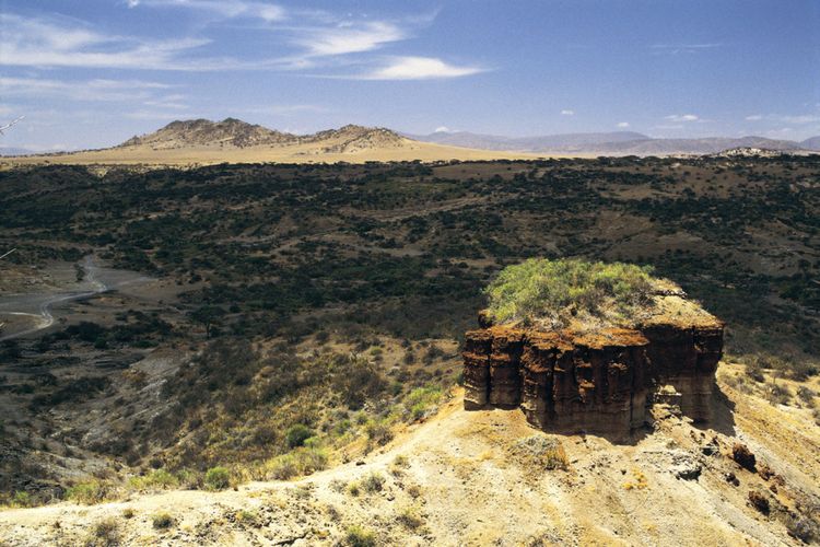 Ngarai Olduvai