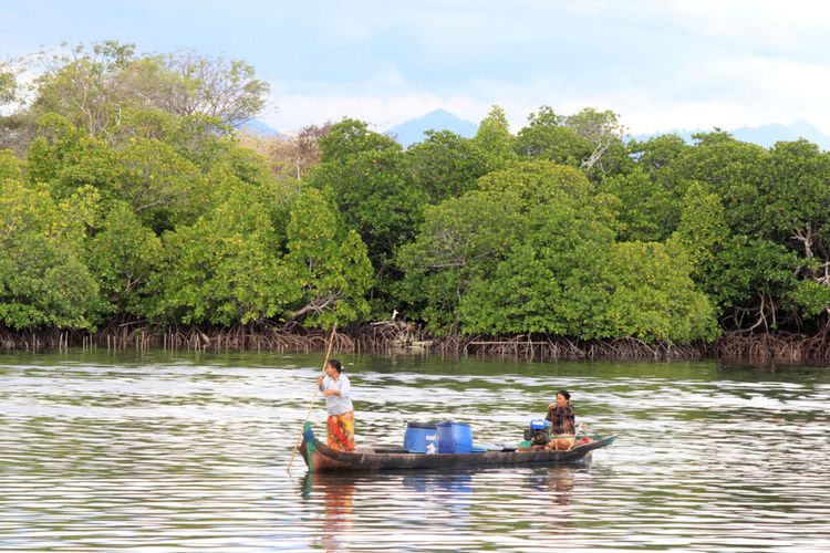 Dua wanita Suku Bajau dengan mnggunakan perahu sedang mengambil air bersih dari daratan melintasi kawasan hutan bakau yang lestari.