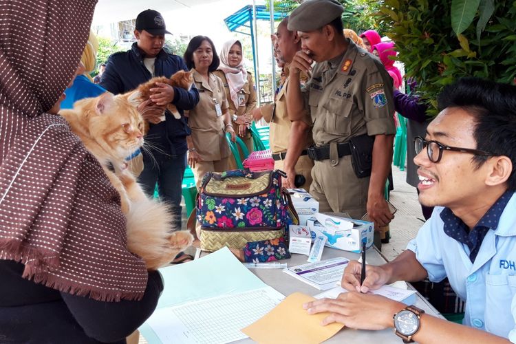 Vaksin gratis anjing dan kucing di Kelapa Dua Wetan, Ciracas, Jakarta Timur, Selasa (8/1/2019)