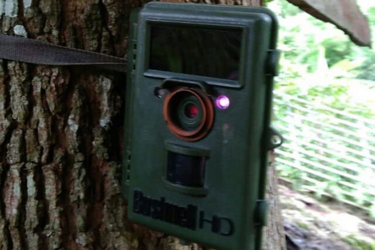 Kamera trap yang dipasang di lokasi penangkaran rusa Coban Jahe, Kecamatan Jabung, Kabupaten Malang, Selasa (22/1/2019)