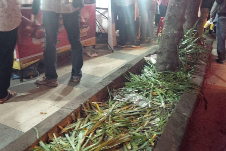Tanaman jalur pedestrian jembatan Kali Pepe sisi selatan rusak akibat diinjak-injak pengunjung yang menyaksikan lampion Imlek di Kawasan Pasar Gede Solo, Jawa Tengah, Kamis (31/1/2019) malam.