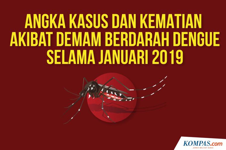 Angka Kasus dan Kematian Akibat Demam berdarah Dengue Selama januari 2019