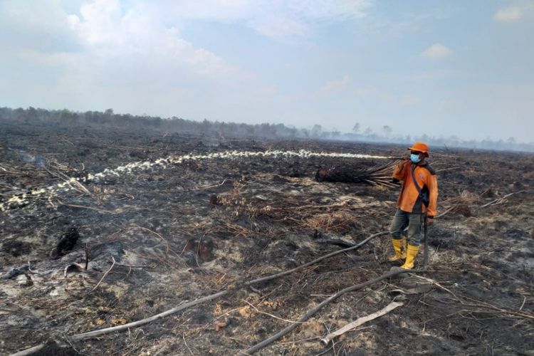 Pemadaman api karhutla di Kelurahan Bangsal Aceh, Kecamatan Sungai Sembilan, Kota Dumai, Riau, Senin (18/2/2019).